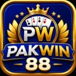 PAKWIN88 Game