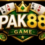 PAK 88 Game