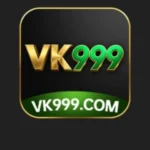 VK999