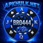 BRO 444 Game